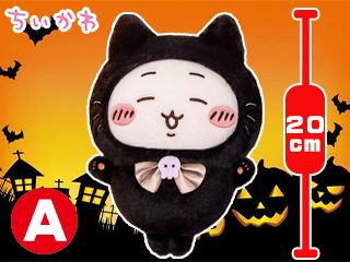 黒猫1